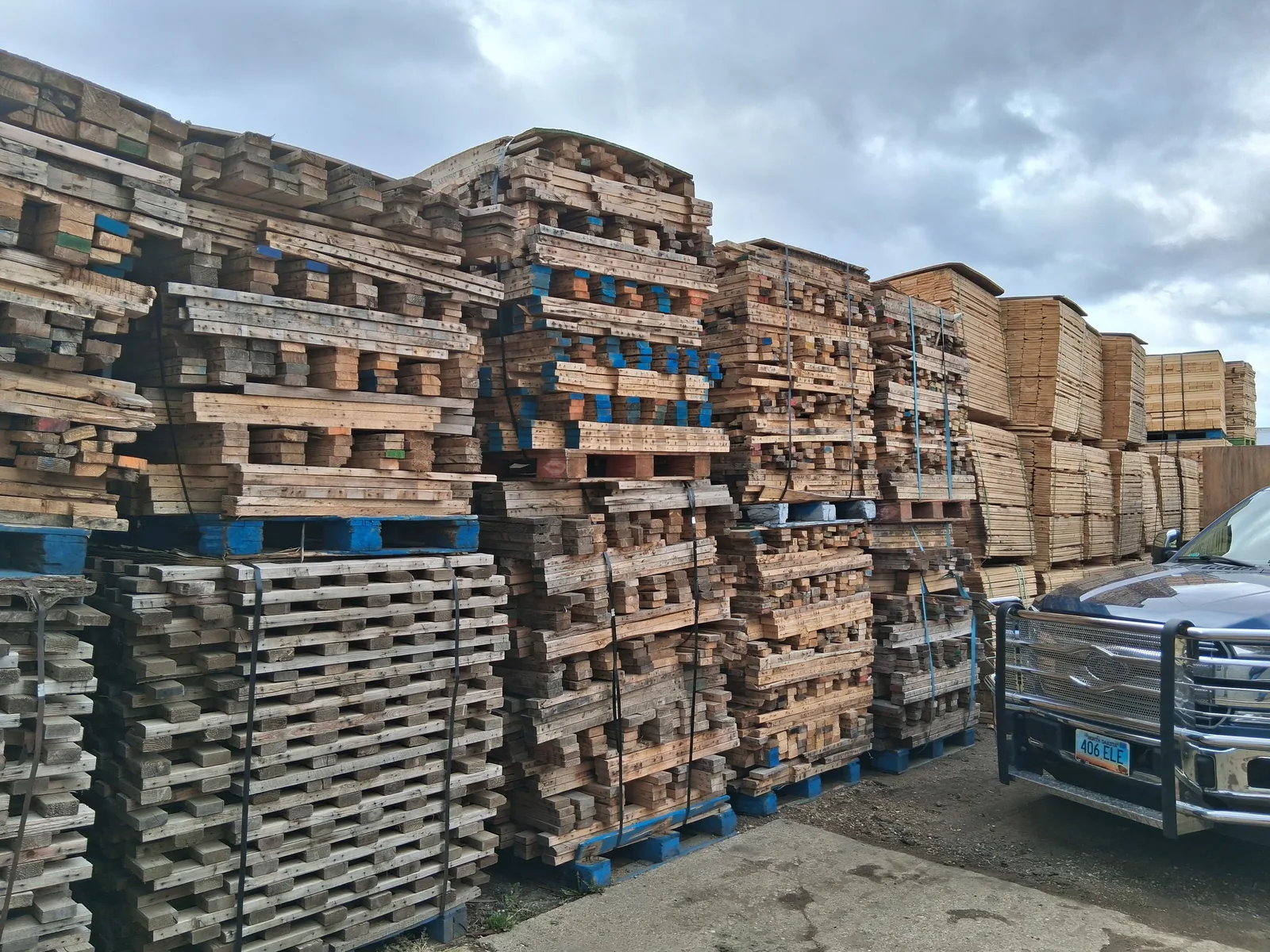 Firewood